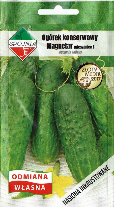SPÓJNIA OGÓREK MAGNETAR 5G