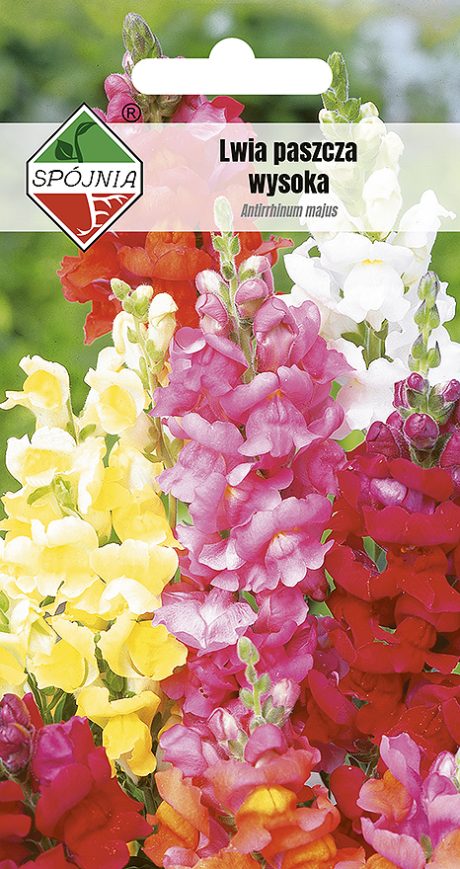 SPÓJNIA LWIA PASZCZA WYSOKA MIX 1G