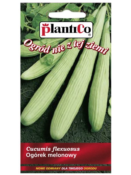 PLANTICO OGÓREK MELONOWY 3G