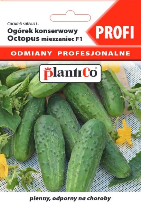 PLANTICO OGÓREK OCTOPUS 1,5G