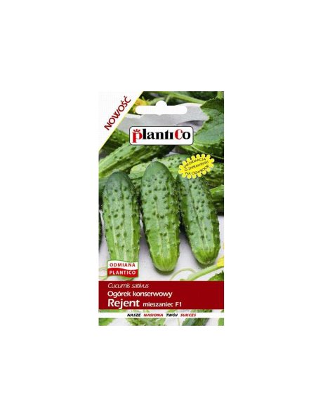 PLANTICO OGÓREK REJENT 5G