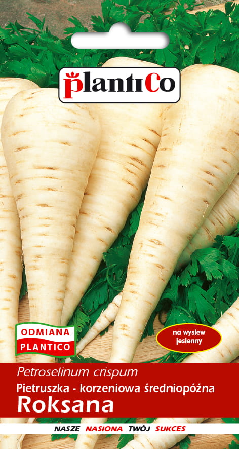 PLANTICO PIETRUSZKA ROKSANA 5G