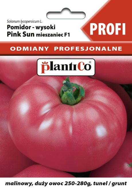 PLANTICO POMIDOR PINK SUN 8SZT