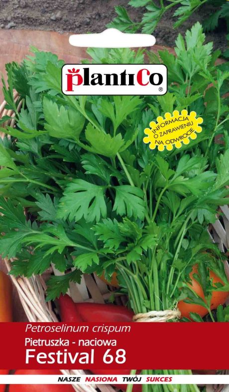 PLANTICO PIETRUSZKA NACIOWA FESTIVAL 68 5G